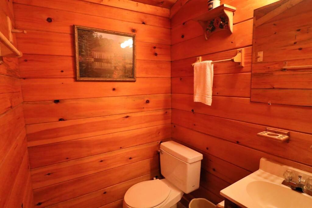 Mountain Cabin 2B Jacuzzi #10 Хелън Екстериор снимка